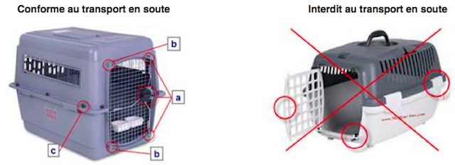 Les normes IATA pour le transport aérien des animaux de compagnie -  WanimoVéto