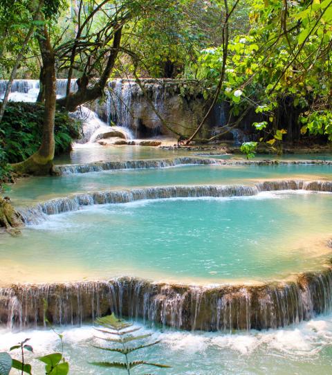 voyager avec son animal au laos