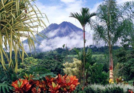 voyage au costa-rica avec son animal