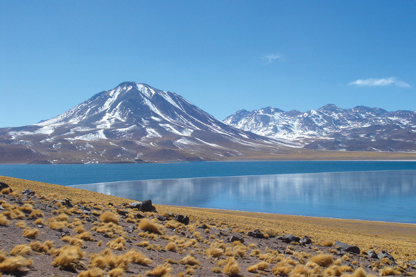 voyager avec son animal en argentine