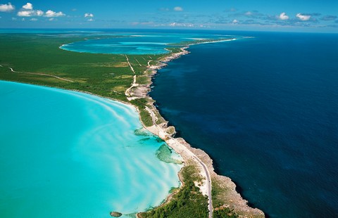 voyager avec son animal aux bahamas