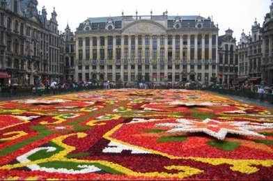 voyager en belgique avec son animal