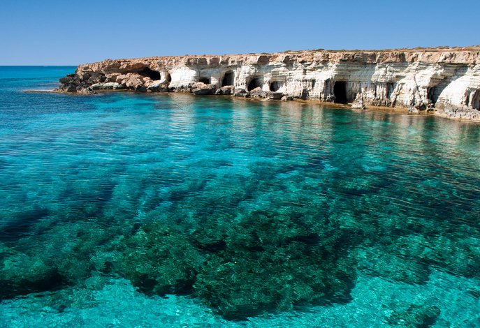 voyage à chypre avec son animal