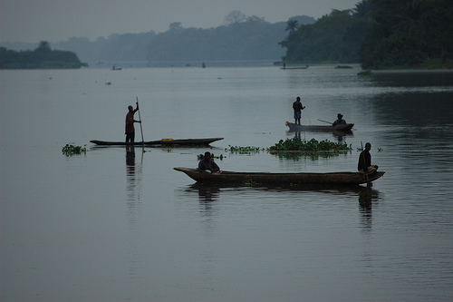 voyage au congo-brazaville avec son animal