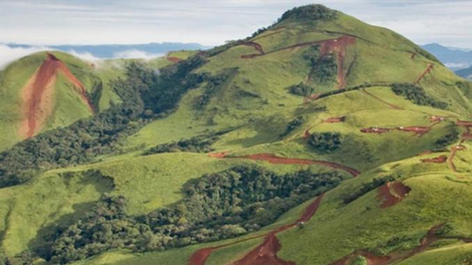 voyage en guinée avec son animal de compagnie