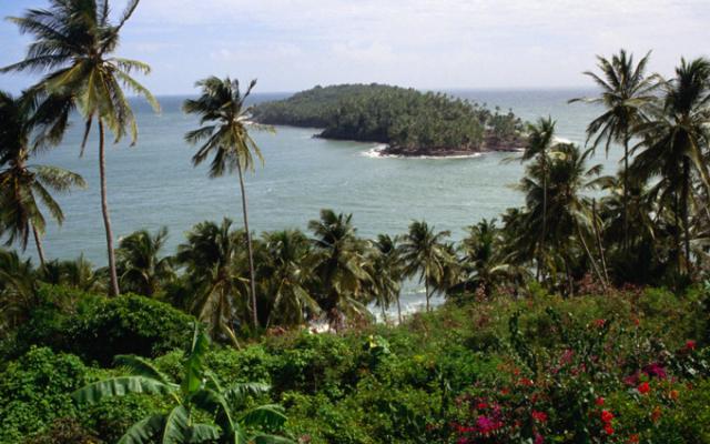 voyage en guyane avec son animal