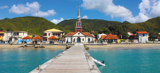 voyage en martinique avec son animal