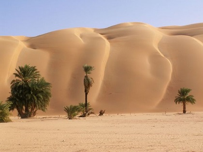 voyage en mauritanie avec son animal