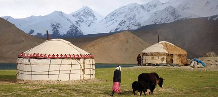 voyage en mongolie avec son animal