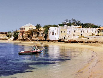 voyage au mozambique avec son animal