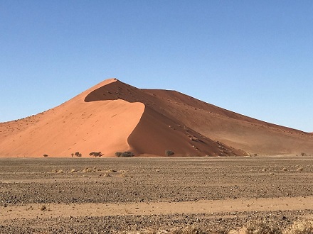 voyage en namibie avec son animal