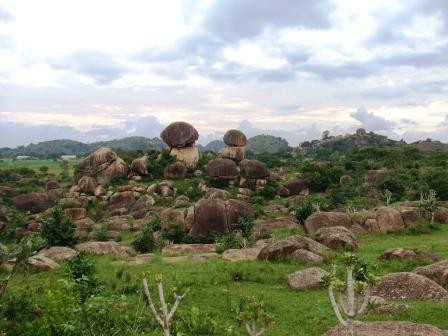 voyage au nigeria avec son animal