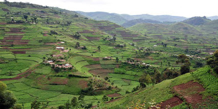 voyage en ouganda avec son animal