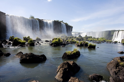 voyage au paraguay avec son animal