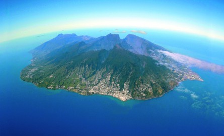 voyage à la réunion avec son animal