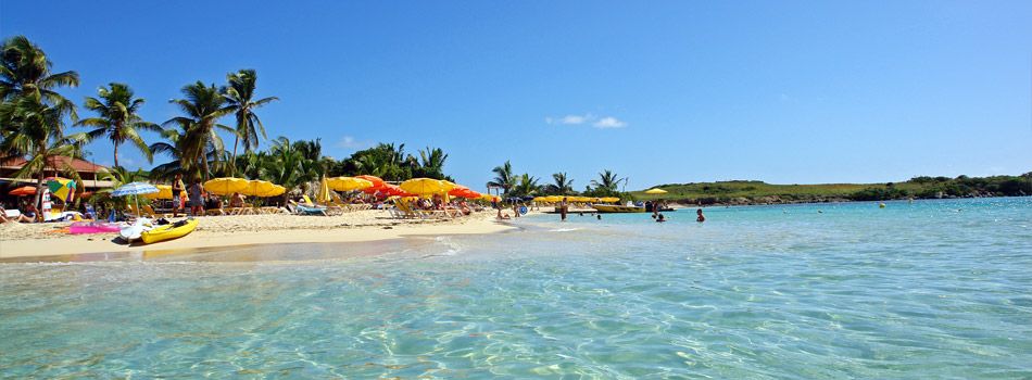 voyage avec son animal à saint-martin