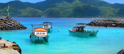 voyage aux samoa américaines avec son animal