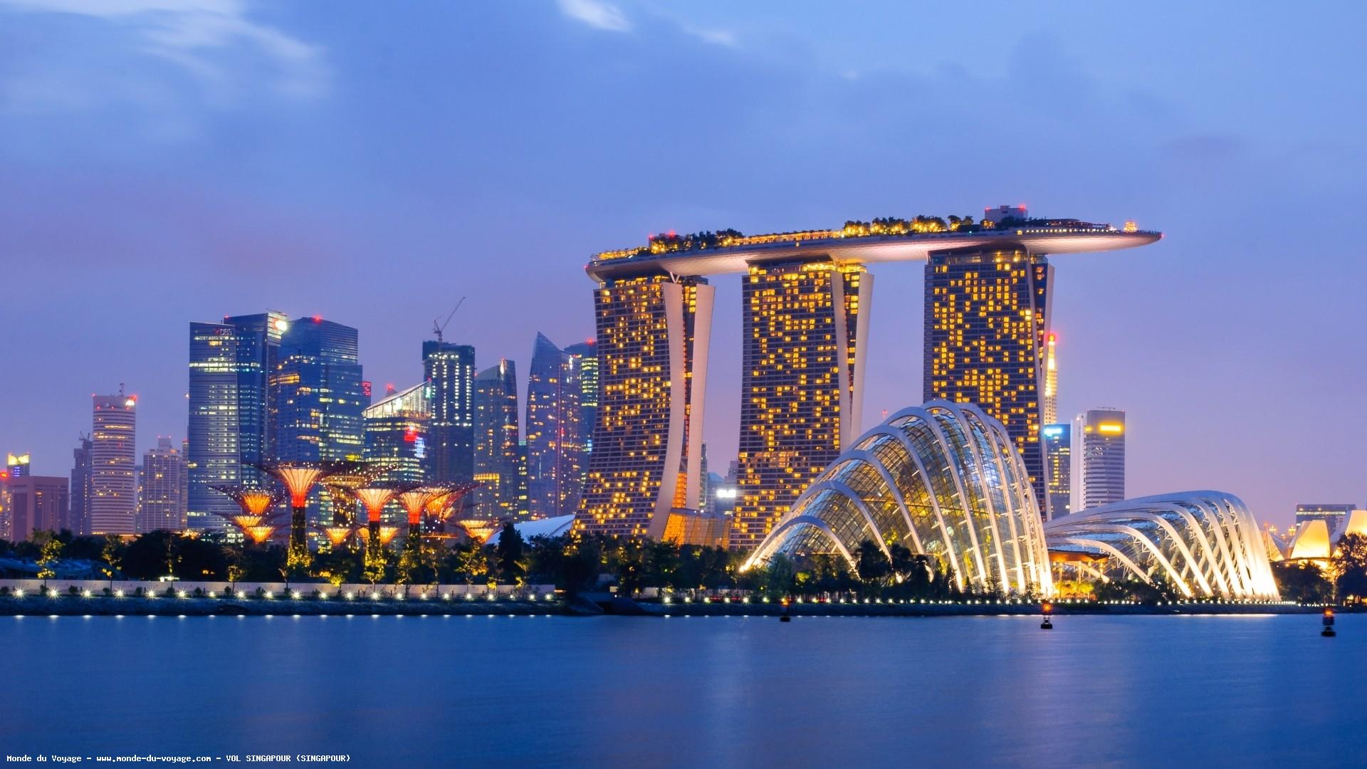 voyage à singapour avec son animal de compagnie