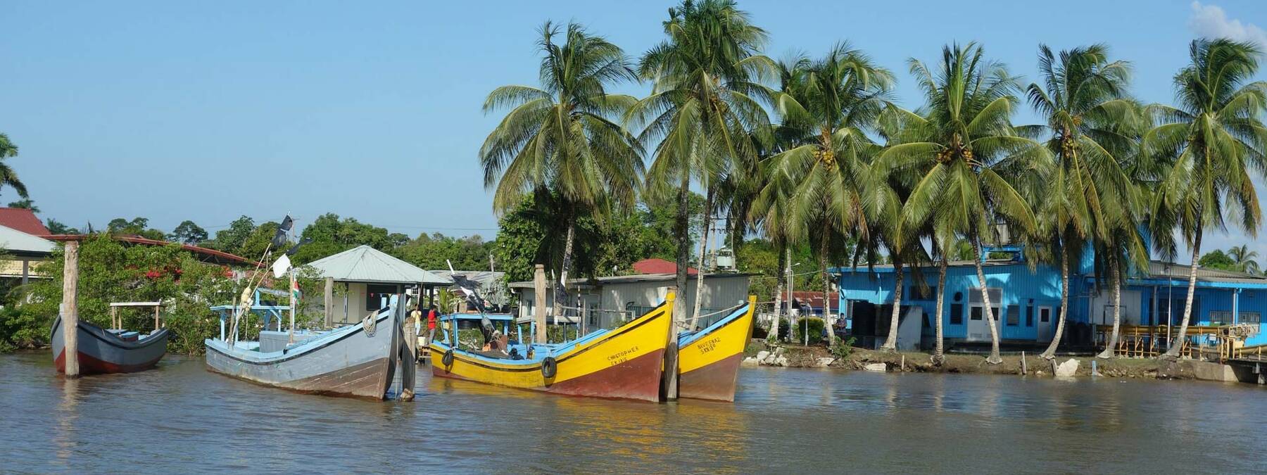 voyage au suriname avec son animal