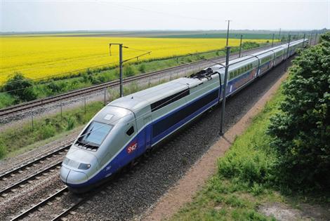 voyage avec son animal (chien, chat ou furet) en train